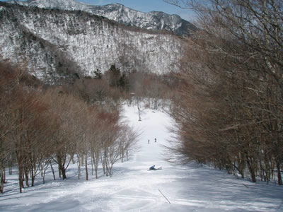 20080304-blog_080304_4.jpg