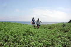 上陸して池を探検。