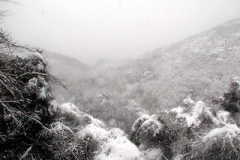 三浦とは思えない雪景色