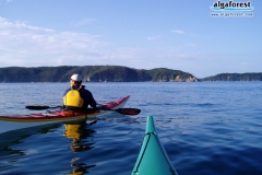 網地島に渡る