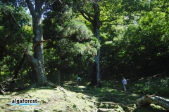 金華山に登る